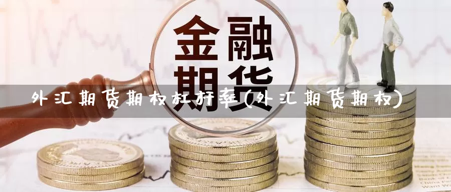 外汇期货期权杠杆率(外汇期货期权)_https://www.shfengdie.com_恒指期货_第1张