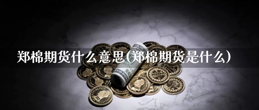 郑棉期货什么意思(郑棉期货是什么)_https://www.shfengdie.com_原油期货_第1张