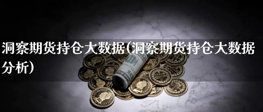 洞察期货持仓大数据(洞察期货持仓大数据分析)_https://www.shfengdie.com_财经直播室_第1张