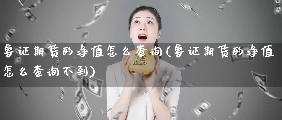 鲁证期货的净值怎么查询(鲁证期货的净值怎么查询不到)_https://www.shfengdie.com_原油期货_第1张