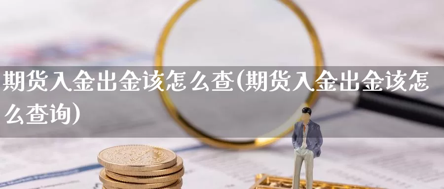 期货入金出金该怎么查(期货入金出金该怎么查询)_https://www.shfengdie.com_黄金期货_第1张