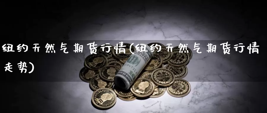 纽约天然气期货行情(纽约天然气期货行情走势)_https://www.shfengdie.com_原油期货_第1张