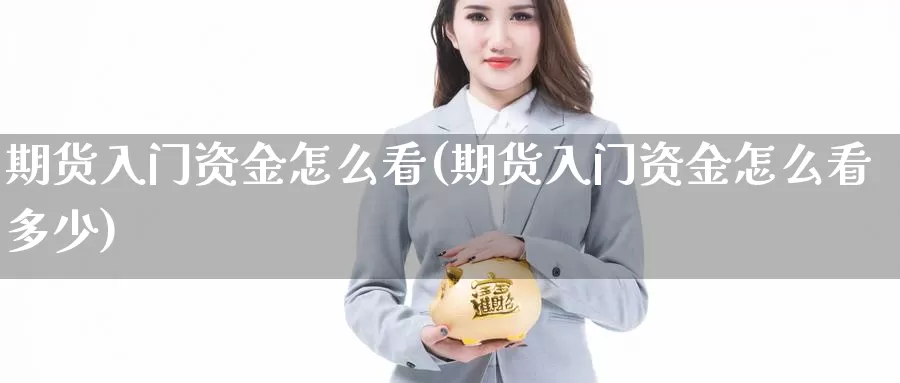 期货入门资金怎么看(期货入门资金怎么看多少)_https://www.shfengdie.com_黄金期货_第1张