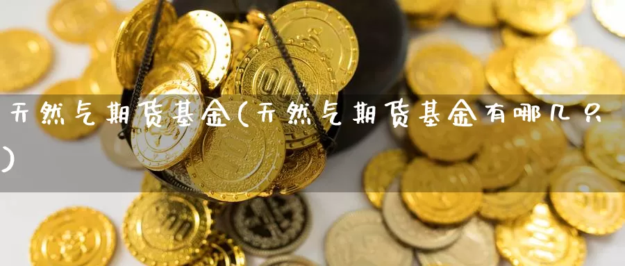 天然气期货基金(天然气期货基金有哪几只)_https://www.shfengdie.com_恒指期货_第1张