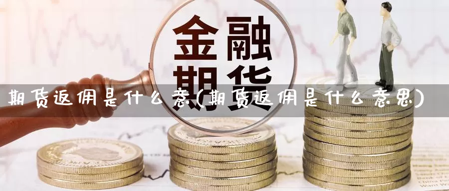 期货返佣是什么意(期货返佣是什么意思)_https://www.shfengdie.com_原油期货_第1张