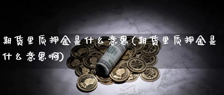 期货里质押金是什么意思(期货里质押金是什么意思啊)_https://www.shfengdie.com_原油期货_第1张