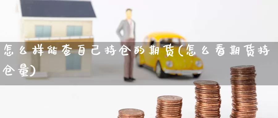 怎么样能查自己持仓的期货(怎么看期货持仓量)_https://www.shfengdie.com_黄金期货_第1张