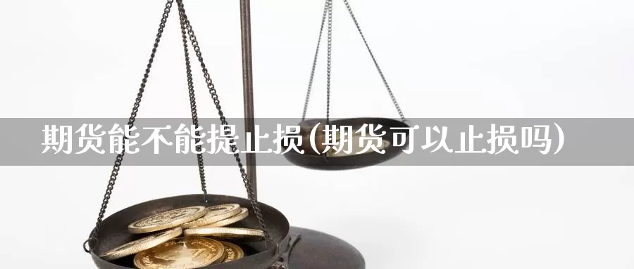 期货能不能提止损(期货可以止损吗)_https://www.shfengdie.com_原油期货_第1张