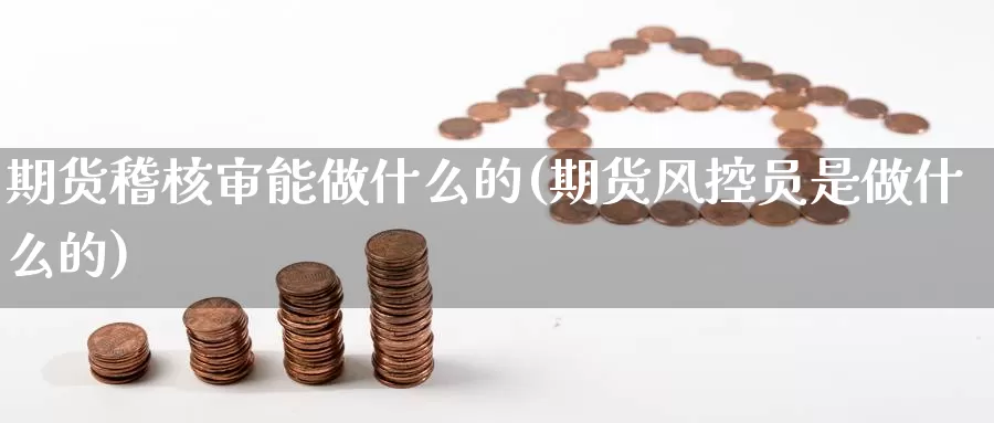 期货稽核审能做什么的(期货风控员是做什么的)_https://www.shfengdie.com_原油期货_第1张