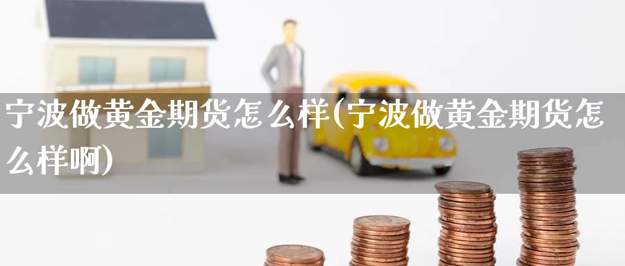 宁波做黄金期货怎么样(宁波做黄金期货怎么样啊)_https://www.shfengdie.com_黄金期货_第1张