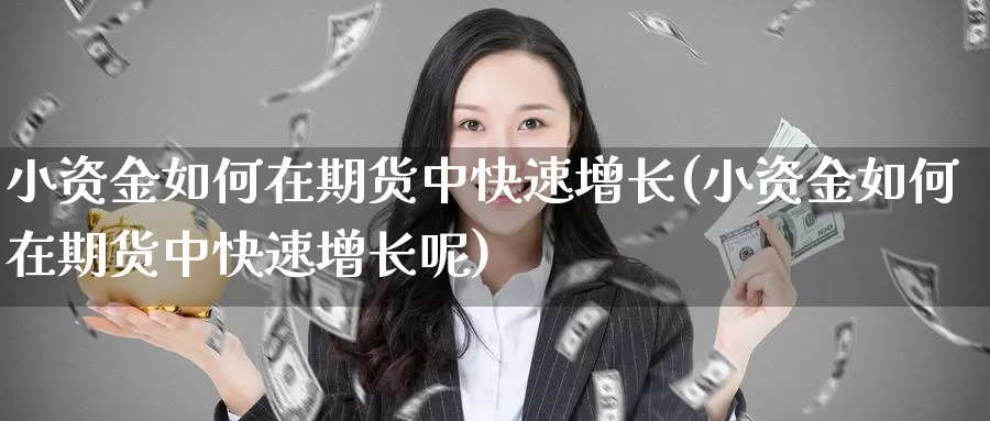 小资金如何在期货中快速增长(小资金如何在期货中快速增长呢)_https://www.shfengdie.com_财经直播室_第1张