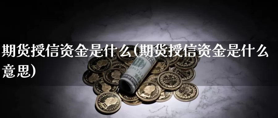 期货授信资金是什么(期货授信资金是什么意思)_https://www.shfengdie.com_财经直播室_第1张